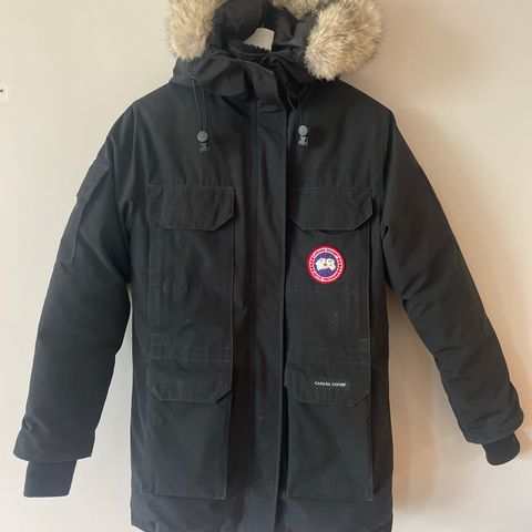 Canada goose expedition