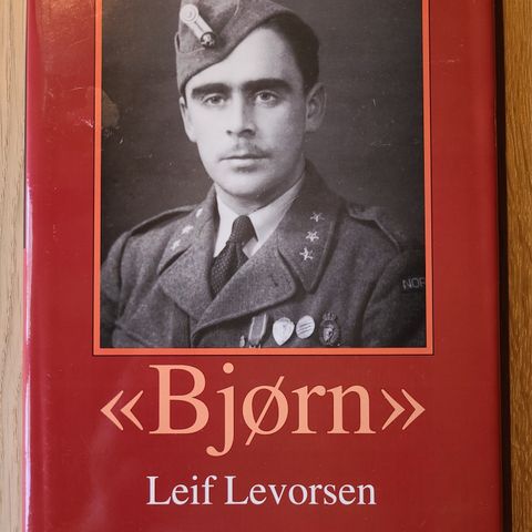 "Bjørn" av Leif Levorsen