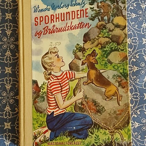 Sporhundene og Brårudskatten