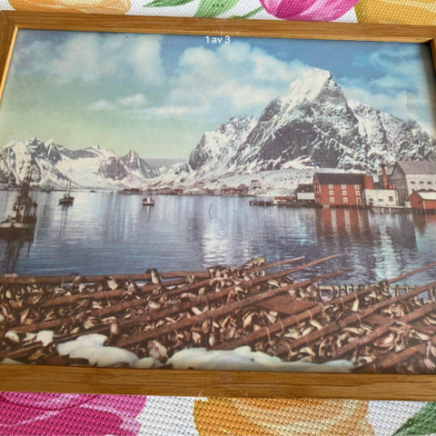 Bilde av Reine i Lofoten