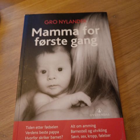 Mamma for første gang bok