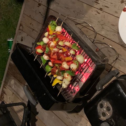 Weber Goanywhere Kullgrill