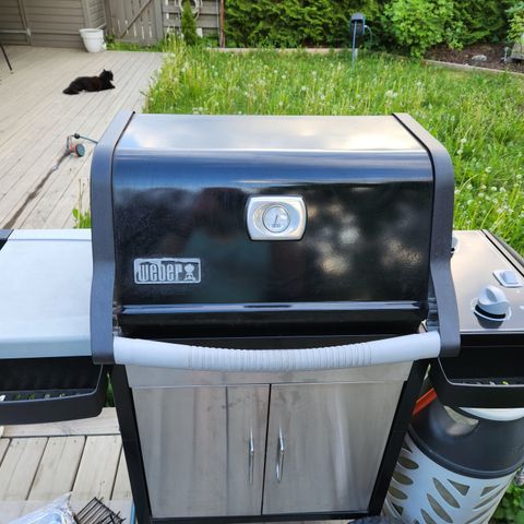 Weber Spirit 210