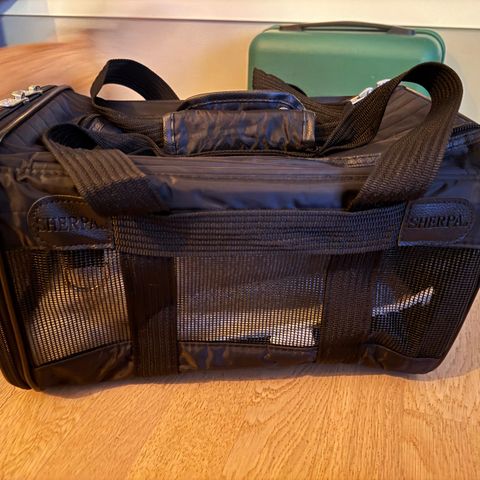 Hund/katt reise bag