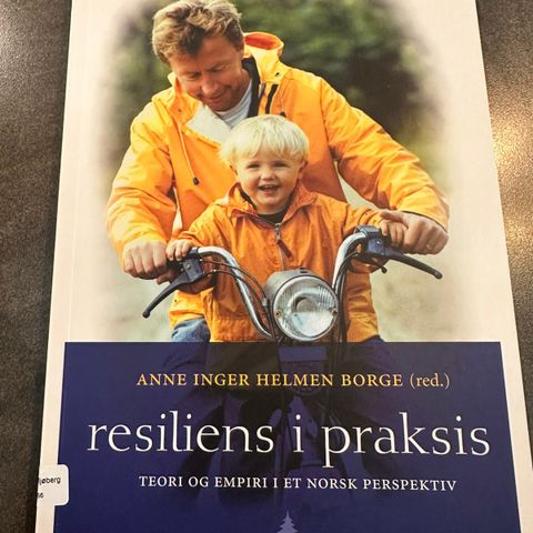 Resiliens i praksis