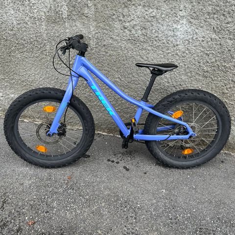 Trek Roscoe 20