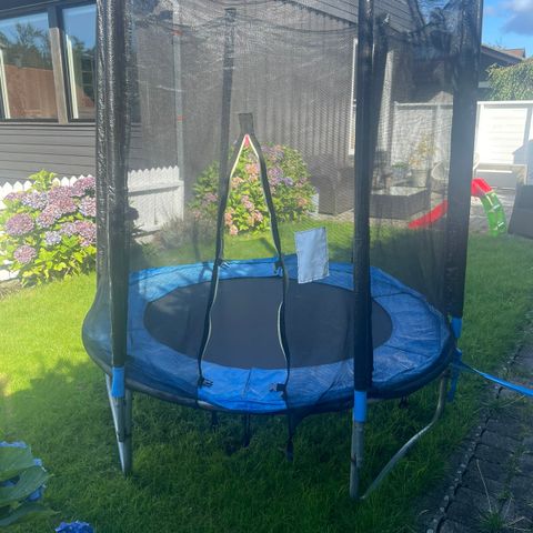 Trampoline gis bort mot henting (mini)