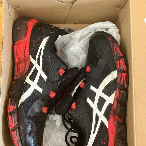 Asics jogge sko