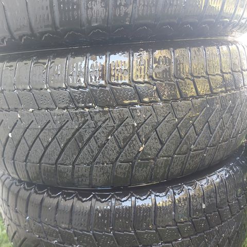 Continetal 205/55 r16 vintedekk