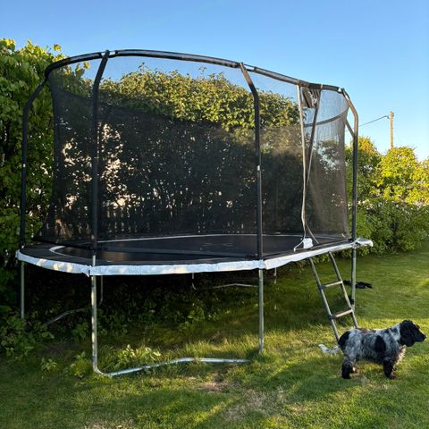 Høstkupp trampoline