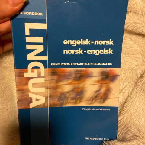 Engelsk-norsk og norsk-engelsk ordbok