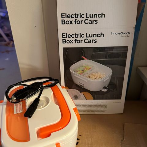 Electronic lunch box for car