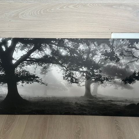 Lerret bilde (140x57cm)