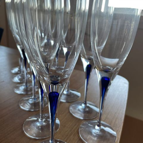 Orrefors Intermezzo blue Champagne-glass - 12 stykk