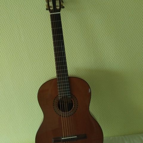 Gitar