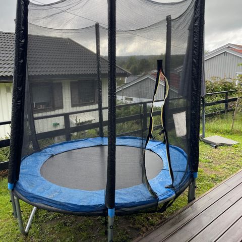 Trampoline