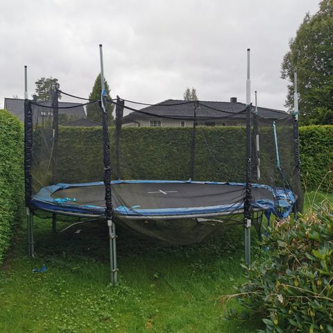 Trampoline