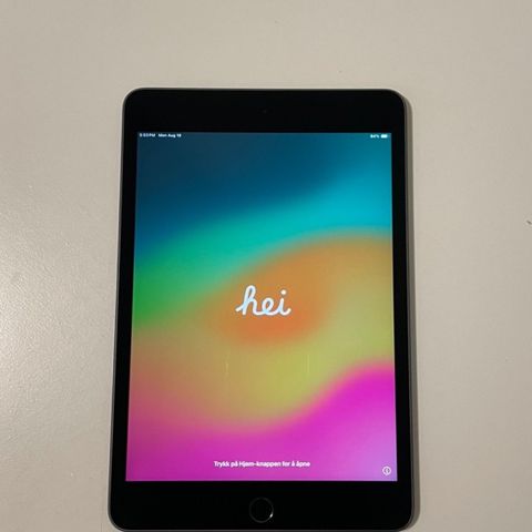 iPad mini 5