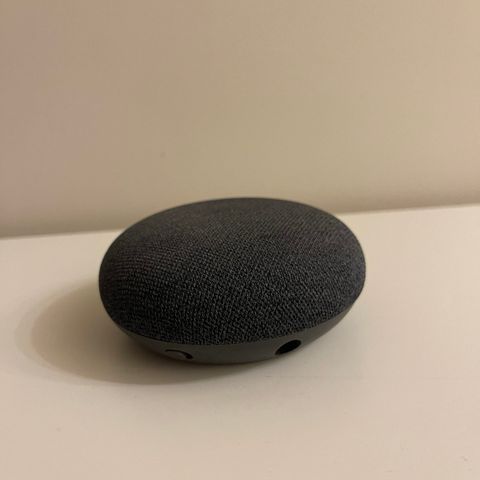 Google Assistent Speaker