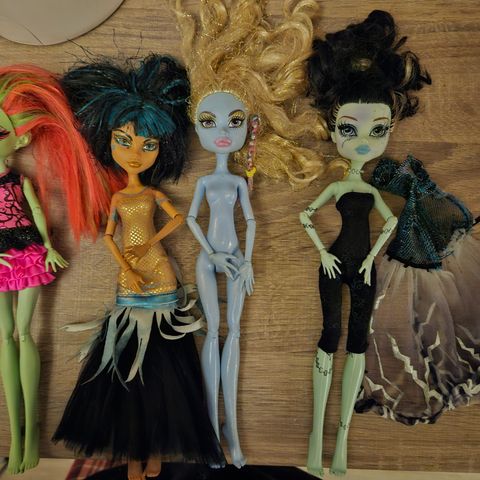 Monster high doll's  sett