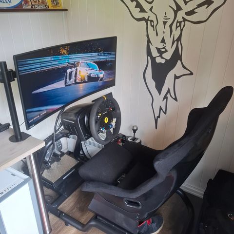 Thrustmaster SimRacing