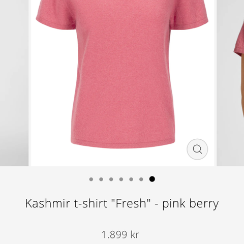 Kashmina Kashmir t-shirt "Fresh" - pink berry