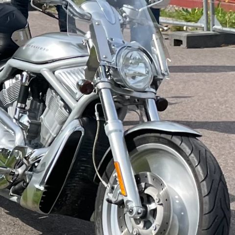 HD V-ROD vindskjerm