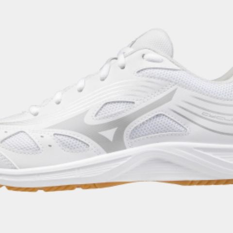 Mizuno Cyclone innendørs treningssko str. 39