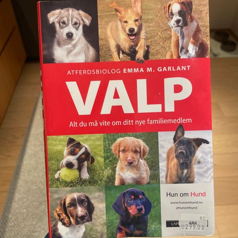 Valp - Hun om Hund