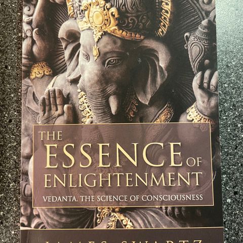 The essence of enlightenment av James Swartz