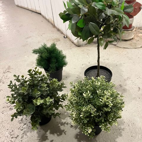 (Reservert) 4 x Kunstige planter IKEA