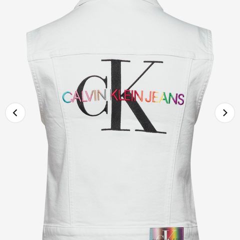 Calvin Klein vest.