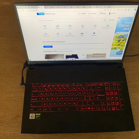 MSI GF75 Thin Gaming Laptop