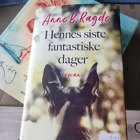 Hennes siste fantastiske dager Anne B Ragde