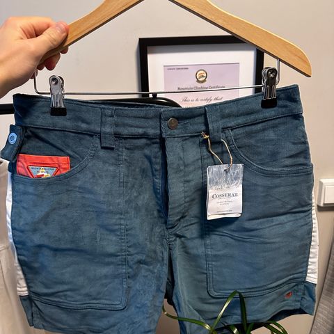 Amundsen 7 Incher Concord Shorts