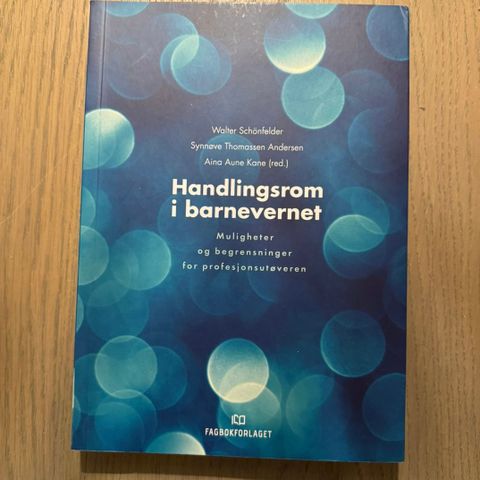 Handlingsrom i barnevernet