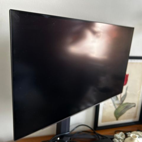 LG UltraGear 27GR95 27" OLED gamingskjerm