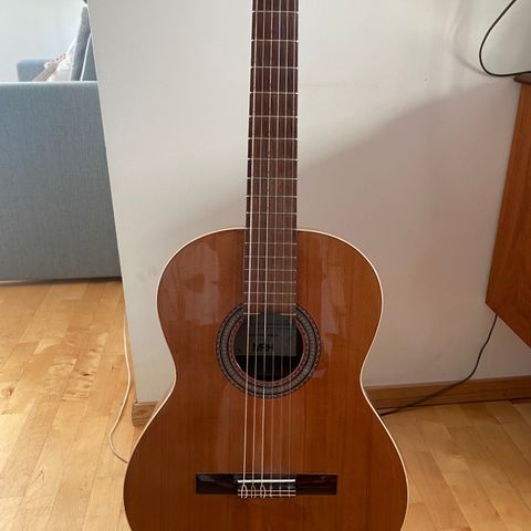 Alhambra gitar Maestro Series