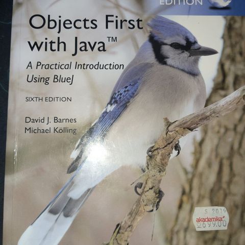 Objects First with Java