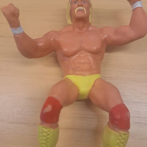 Wrestling Hulk Hogan