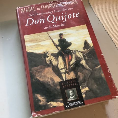 Boka Don Quijota av la mancha gis bort