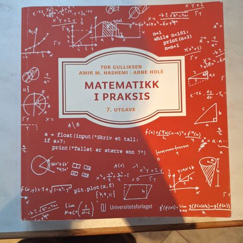 Matematikk i praksis