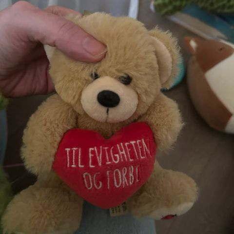 Si det med en bamse Tinka