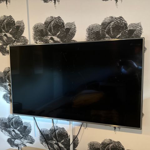 LG 55 TV