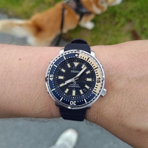 Seiko Tuna Safari SRPF81K1