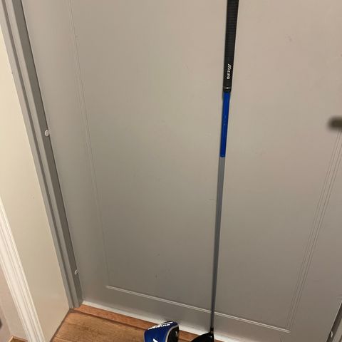 Mizuno 9.5 Driver