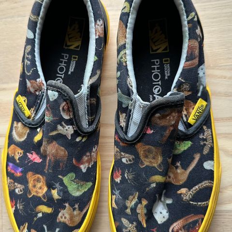 Vans National geographic slip ons str 33