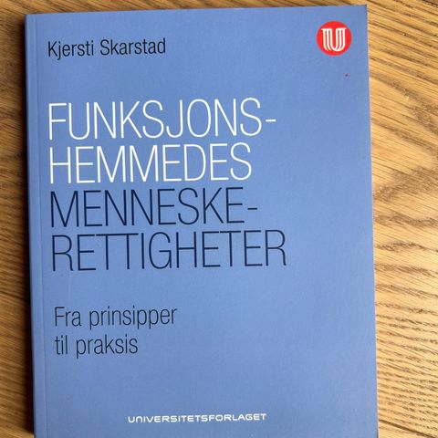 Funksjonshemmedes menneskerettigheter - fra prinsipper til praksis