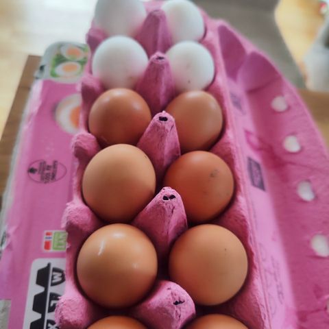 Fersk egg 12stk 30kr