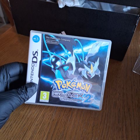 Pokemon Black Version 2